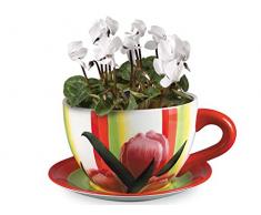 Home in Rombo Tulipe Mug (Grande Tasse) Roses-22,5 cm