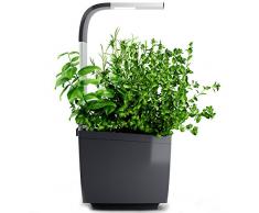 Tregren T3 Potager dintérieur Connecté 3 plantes, Kit prêt à pousser et Jardinière Autonome pour herbes aromatiques, petits légumes, fleurs - Cultivez avec votre application smartphone - Gris