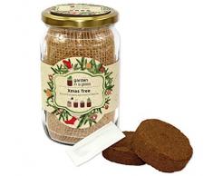 Feel Green Garden in A Kit de Culture en Verre pour Sapin de Noël et Plantes