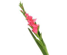 Floral Elegance F075PL - Glaïeul artificiel rose de 118 cm