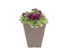 Elho Torino Campana Carré Haut 32 - Pot De Fleurs - Taupe - Extérieur - Ø 32.5 x H 36.6 cm