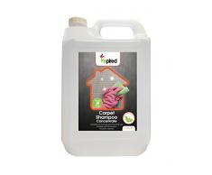 Inspiré fam146 19 x 12 x 28 cm Tapis Shampooing concentré – Transparent