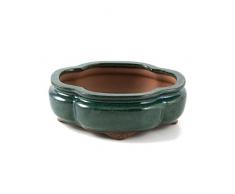 Crespi Bonsai v986/1 Pot pour Bonsai, Verte, 21 x 17.5 x 7.3 cm