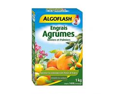 ALGOFLASH Engrais s Agrumes, Oliviers et Palmiers, 1 xkg, MED1N