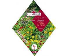 Royalfleur PFRK08689 Graines de Mélange de Fleurs mon Massif Tapis de Perse 3 m²