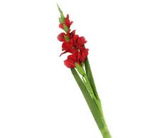 Floral Elegance Glaïeul Artificiel à Tige Unique Rouge 118 cm X 6 – Artificiel de Plage de Fleur en Soie
