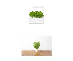 Click & Grow Smart Garden 3 jardinière dintérieur 30 x 10 x 28 cm Blanc (contient 3 capsules de basilic) + 2 recharges menthe (x3)
