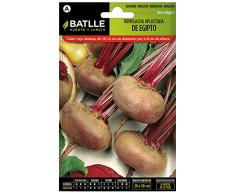 Semillas Batlle – remolachas De Table écrasée dÉgypte 10 gramos
