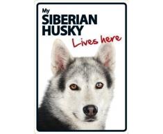 Magnet & Steel Sibérian Huskey Lives Here Panneau A5