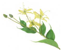 Floral Elegance - Fleur Artificielle Half a Dozen Jaune