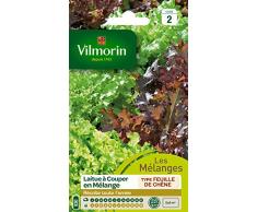 Vilmorin 3609242 Pack de Graines Laitue à Couper en Mélange Bol Vert/Rouge