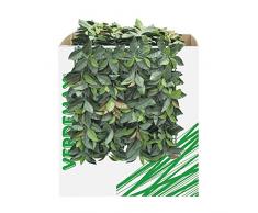 Verdemax 5635 50 x 50 cm Verdecor haie avec Feuilles comme Photinia