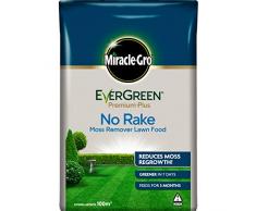 Miracle-Gro Evergreen Premium Plus sans râteau, Vert 100 m² Vert