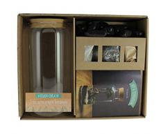 Instant Candide - Kit à Terrarium de Qualité et Facile à Réaliser - 31 x 24 cm