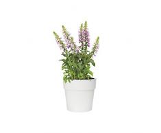 Elho Vibia Pot de fleurs rond Blanc
