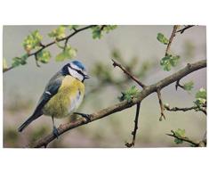 Fallen Fruits Paillasson Motif mésange bleue