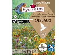 Royalfleur PFRE08668 Graines de Fleurs Utiles pour Attirer les Oiseaux Vivace.8 m²