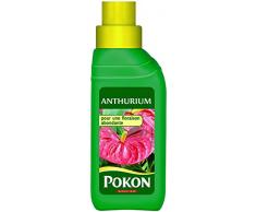 Pokon Engrais Anthurium Liquide 250ml