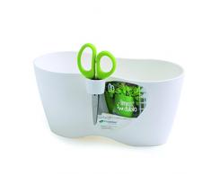 Zanvic Pot pour 2 aromatiques, Limes doblo 250 avec Ciseaux, Blanc, 12 x 12 x 25 cm, za424