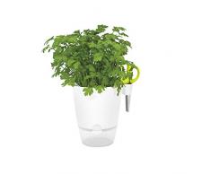 Elho Brussels Herbes Allin1 13 - Pot De Fleurs - Blanc - Intérieur - Ø 15.6 x H 16.1 cm