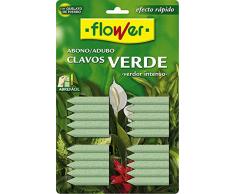 Flower Engrais 15501 clous Vert 30 x 2