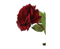 Floral Elegance Artificiel 92 cm Tige Unique Ouverte Bordeaux Roses X 6 – Artificiel de Plage de Fleur en Soie