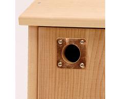 Jacobi Jayne Protection de Trou pour nichoir en cuivre 26 mm