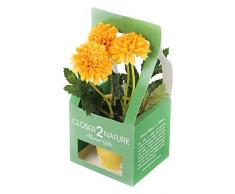 Closer To Nature FP004YC - Chrysanthème artificiel jaune de 18 cm dans une boite décorative