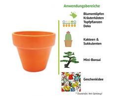 Feel Green Terre Cuite Pot de Fleurs en Pot Naturel Succules/Bonsaï & Décoration Idée Cadeau 1 pièce Ø 5,7 cm Hauteur 5 cm Fabriqué en Allemagne