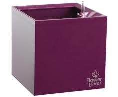 greemotion Flower Lover Cubico 616433 carré Pot de Fleurs Violet 27 x 27 x 27 cm