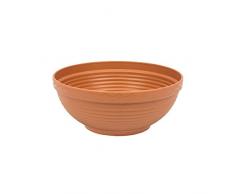Prosper Plast Dms06-r624 26 x 11.3 cm Misa de Pot à Fleurs en Terre Cuite (12 pièces)