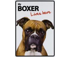 Magnet & Steel Aimant et Acier - Format A5 - Mémoriaux_P Boxer Lives Here