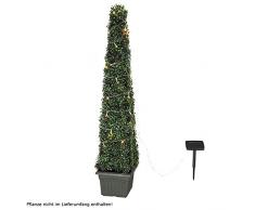 Globo 120 x LED 20 m Guirlande Lumineuse Solaire