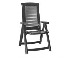 Fauteuil de Jardin 212165 Aruba, en Plastique avec 4 Positions réglables Anthracite