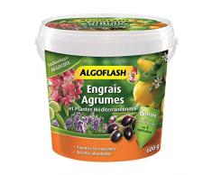 ALGOFLASH Engrais Algocote Agrumes et plantes méditerranéennes, Action jusquà 6 mois, 600 g, ABAGRU600