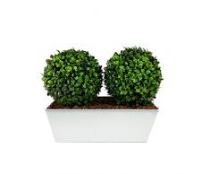 GreenBrokers Artificielle Double Boules de buis Artificiel – Blanc Tin Jardinière Pot de Fleurs (35 cm)