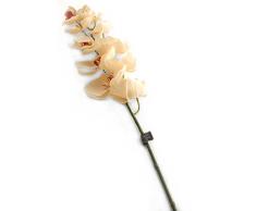Floral Elegance F068CL - Orchidée Phalaenopsis/Papillon artificielle crème de 109 cm