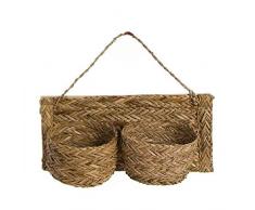 DCASA Alga Pot de Fleurs à Suspendre