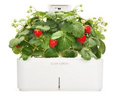 Click & Grow Smartpot Fraise kit de Culture dintérieur avec LED Lampes de Culture