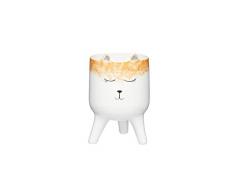 Kitchen Craft Petit Pot de Fleurs dintérieur, Céramique, Blanc/Orange, 10 x 15.5 cm