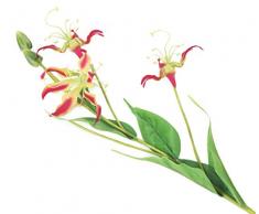 Floral Elegance - Fleur Artificielle Dozen Magenta