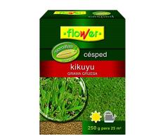 Flower 10793 10793-semilla kikuyo, 250 G, NO Applique, 10.3 x 3.7 x 14.5 cm