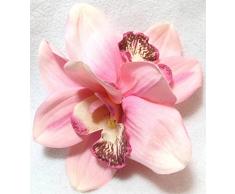 Flower 10794 10794-semilla dichondra repens, 250 G, NO Applique, 10.3 x 3.7 x 14.5 cm