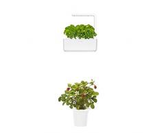 Click & Grow Smart Garden 3 jardinière dintérieur 30 x 10 x 28 cm blanc (contient 3 capsules de basilic) + 2 recharges fraise (x3)