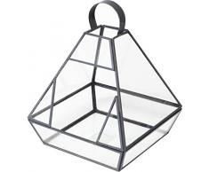 Ivyline Ir-6322 Laisse Terrarium 19 x 23 – Transparent