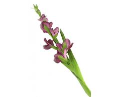 Floral Elegance F075PL - Glaïeul artificiel mauve de 122 cm