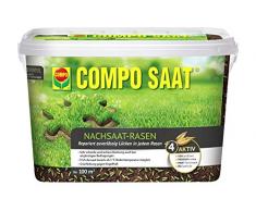 Compo Saat 13874 Engrais pour Le regarnissage de Gazon 2 kg 100 m²