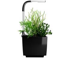 Tregren T3 Potager dintérieur Connecté 3 plantes, Kit prêt à pousser et Jardinière Autonome pour herbes aromatiques, petits légumes, fleurs - Cultivez avec votre application smartphone - Noir