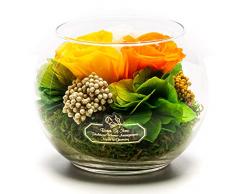 Rosen-te-amo Couverts de Fleurs en DREI conservés de Roses durables de qualité supérieure, Orange, Jaune et Champagne, Cadeau AA, XL