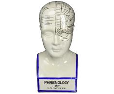 Design Toscano Inc 30 cm de hauteur Statue de tête de phrénologie en porcelaine